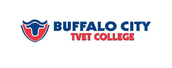 Read more about the article Buffalo City TVET College Logo