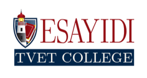 Read more about the article Esayidi TVET College Logo