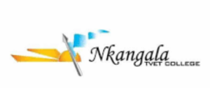 Read more about the article Nkangala TVET College Logo