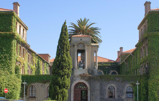 Read more about the article University of Cape Town Review In 2025