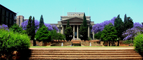 Read more about the article WITS University Review In 2025