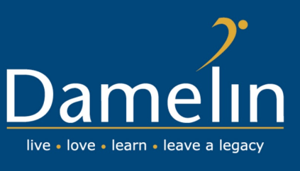 Read more about the article Damelin Logo