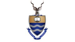 Read more about the article WITS University Logo