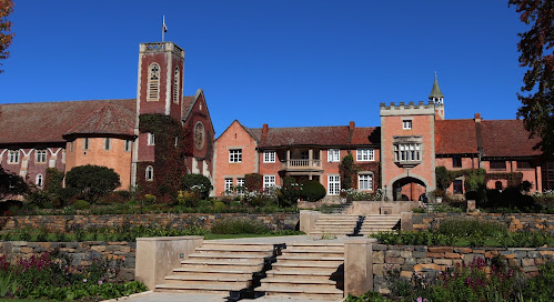 Read more about the article Michaelhouse Review In 2025